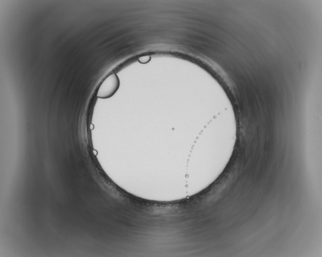 X0000113270887200910221057