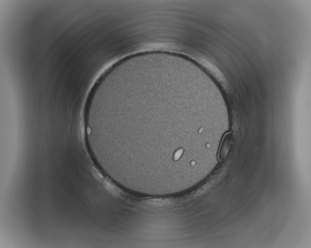 X0000113270888200910221057