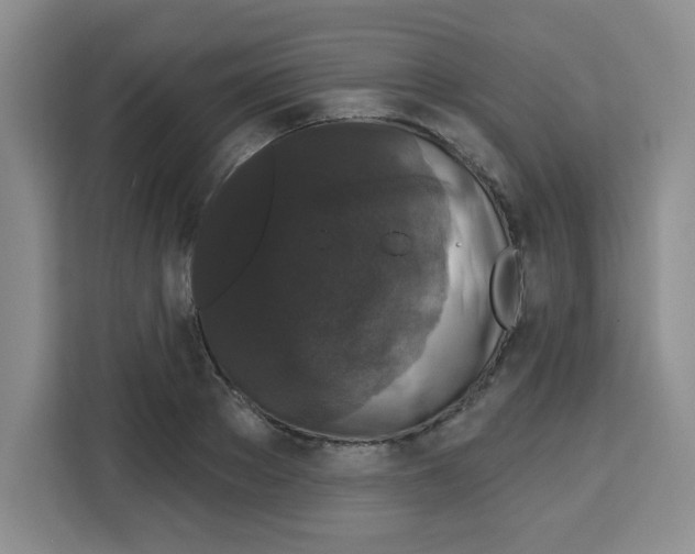 X0000113270889200910221057