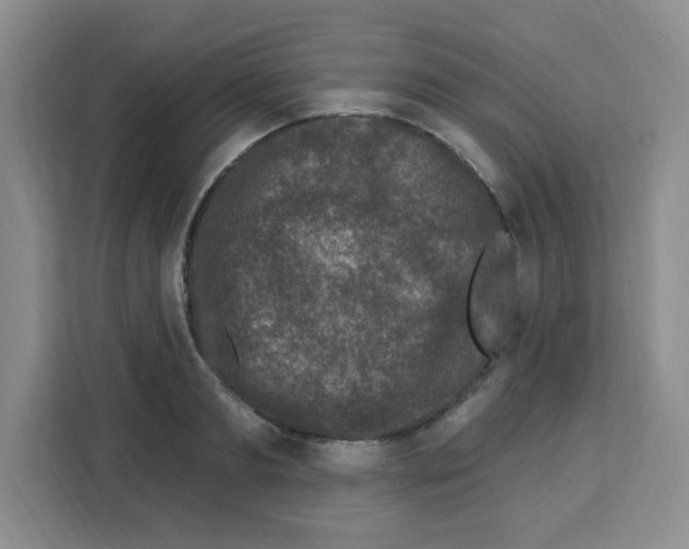 X0000113270893200910221057