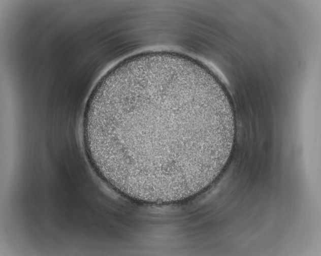 X0000113270895200910221057