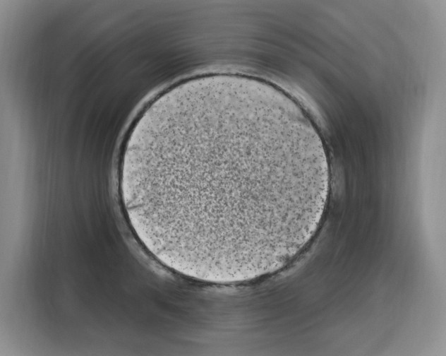 X0000113270896200910221057