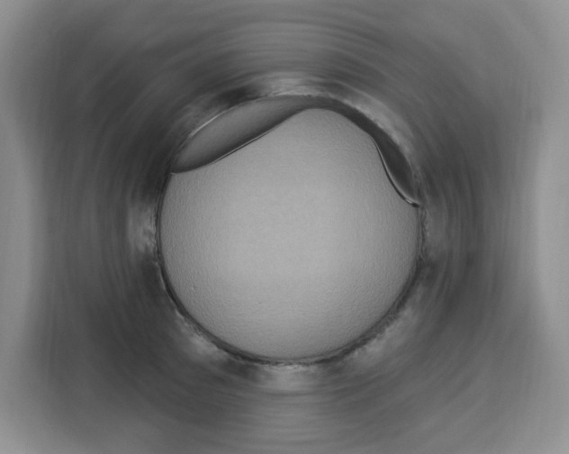 X0000113270897200910221057