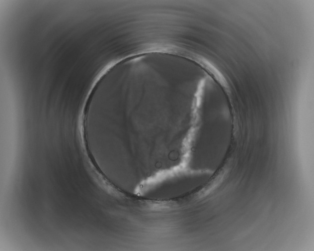 X0000113270899200910221057