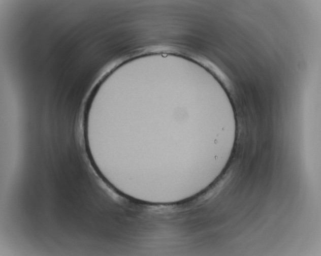 X0000113270902200910221057