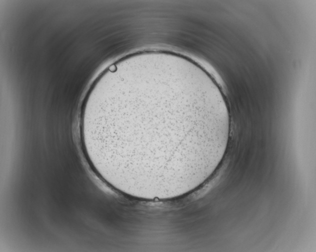 X0000113270903200910221057