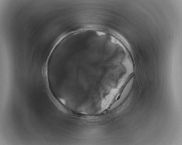 X0000113270907200910221056