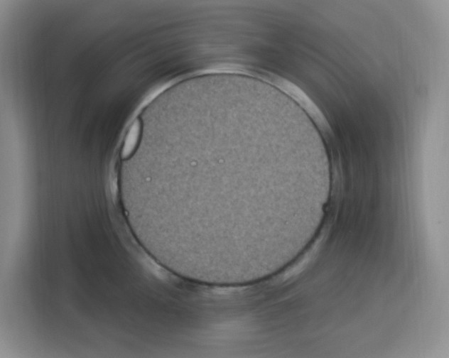 X0000113270908200910221056