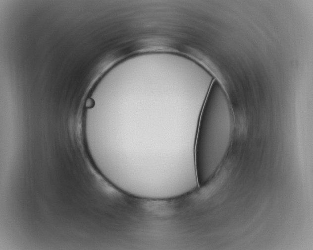 X0000113270909200910221056