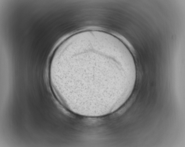 X0000113270910200910221056