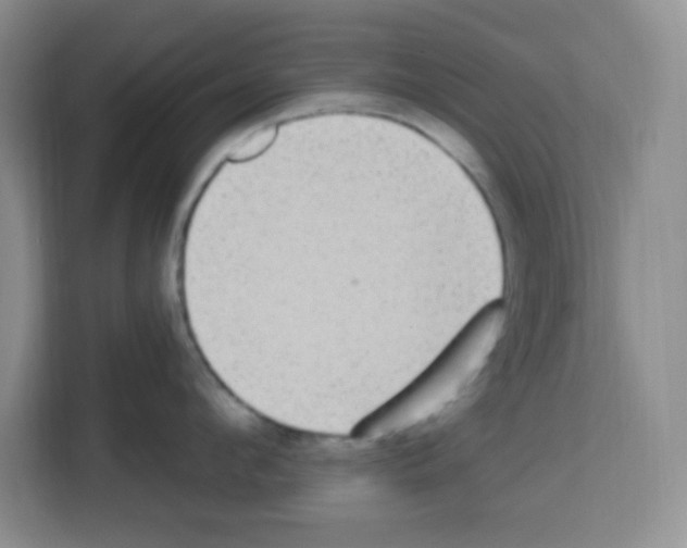 X0000113270912200910221056