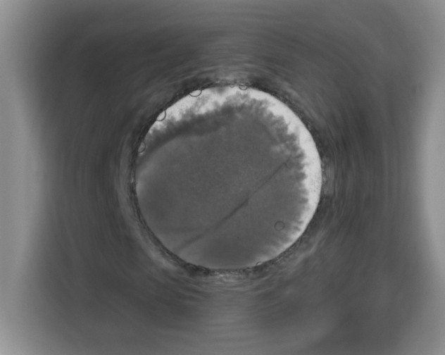 X0000113270913200910221056