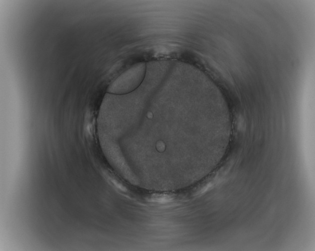 X0000113270914200910221056