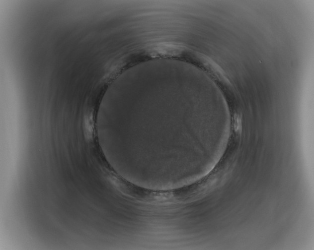 X0000113270915200910221056