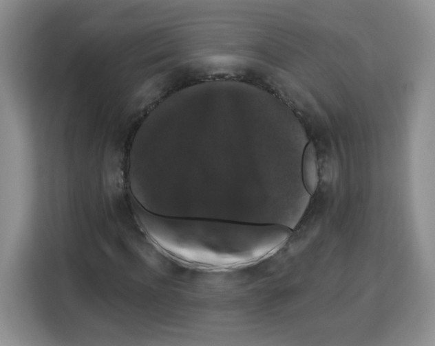 X0000113270916200910221056