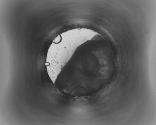 X0000113270918200910221056