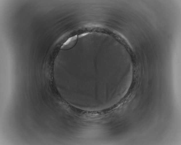 X0000113270919200910221056