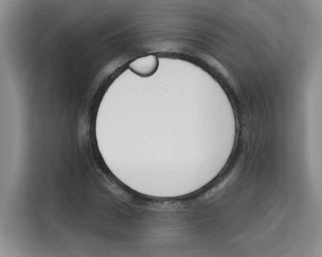 X0000113270922200910221056