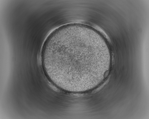 X0000113270924200910221056