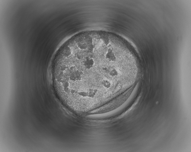 X0000113270925200910221056