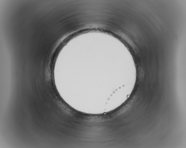 X0000113270927200910221056