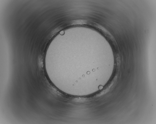 X0000113270929200910221056