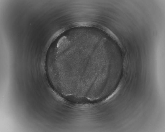 X0000113270930200910221056