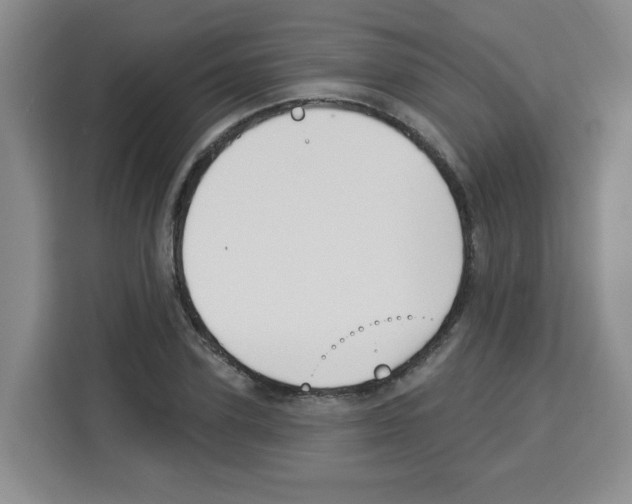 X0000113270931200910221056