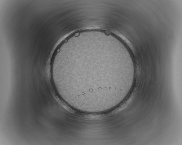 X0000113270933200910221056