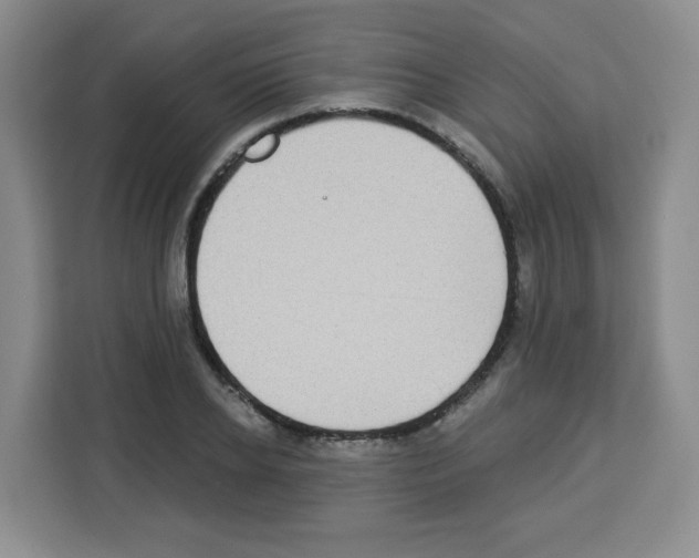 X0000113270934200910221056