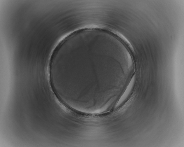 X0000113270935200910221056