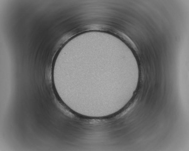 X0000113270938200910221056