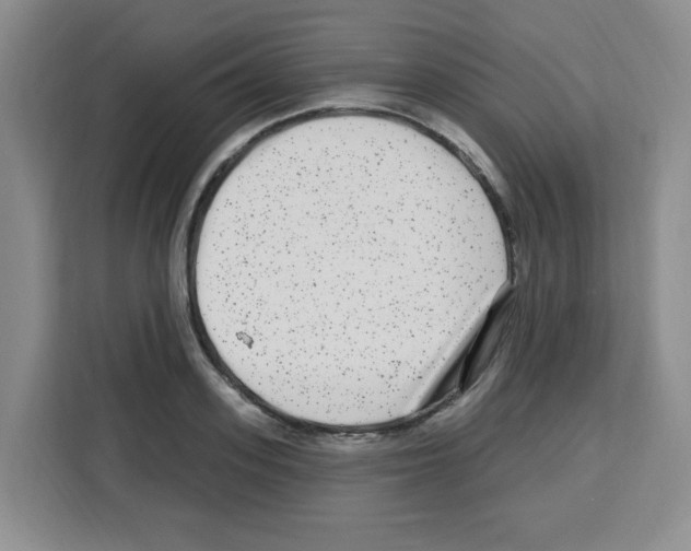 X0000113270939200910221056