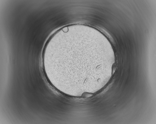 X0000113270940200910221056