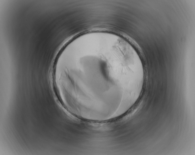 X0000113270941200910221056