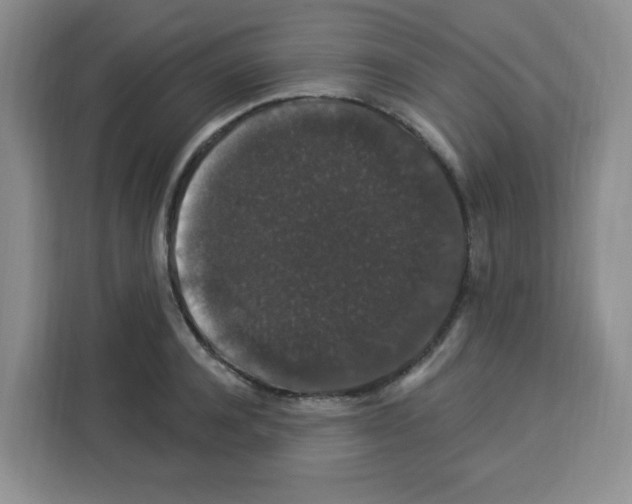 X0000113270944200910221056