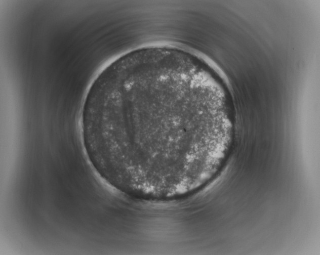 X0000113270951200910221056