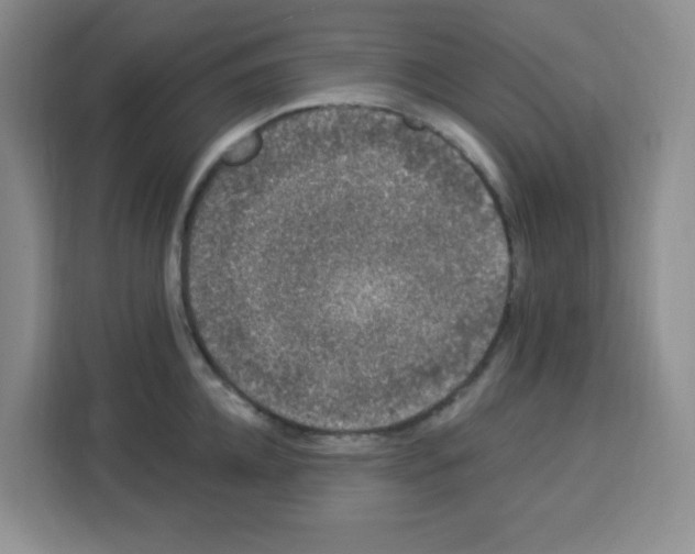 X0000113270952200910221056