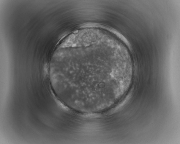 X0000113270953200910221056