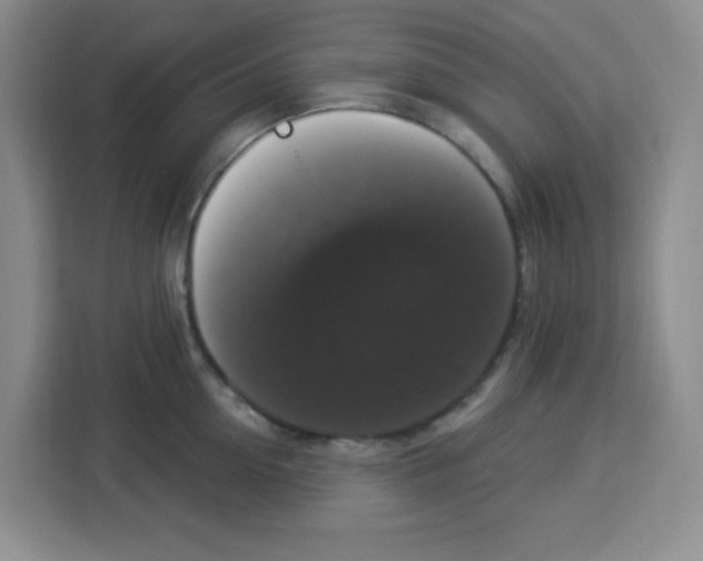 X0000113270954200910221056