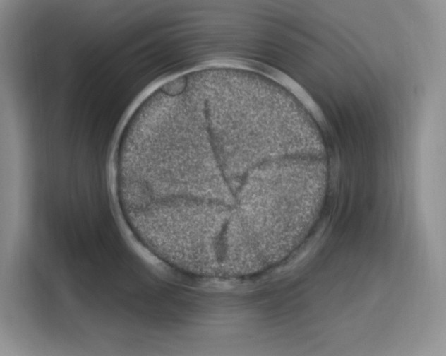 X0000113270955200910221056