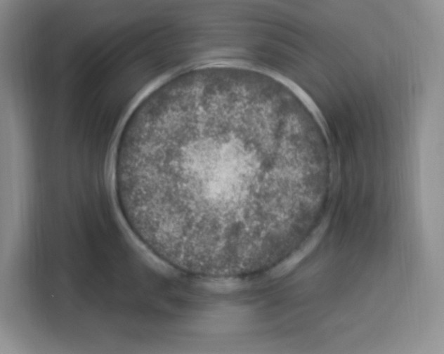 X0000113270957200910221056