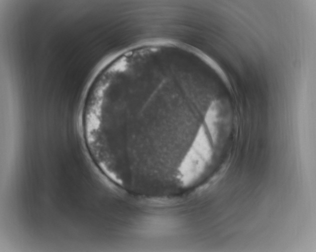 X0000113270959200910221056