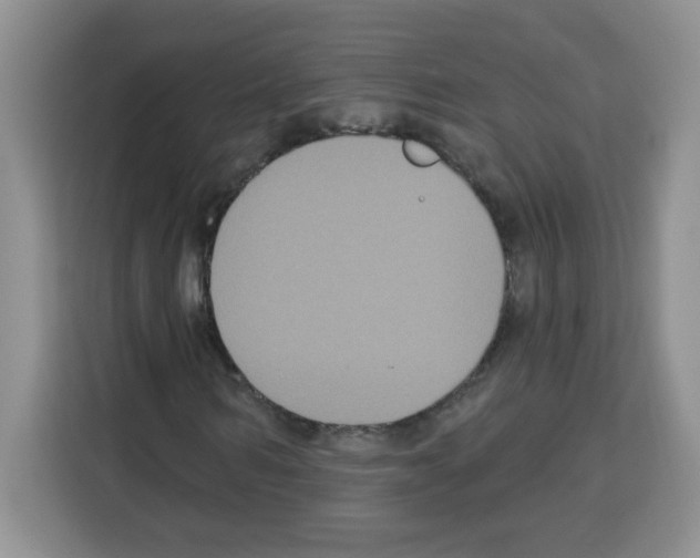 X0000113270962200910221056