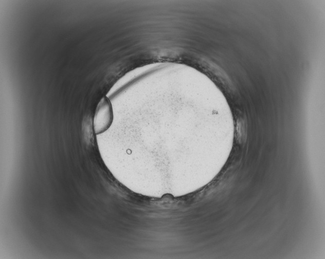 X0000113270963200910221056