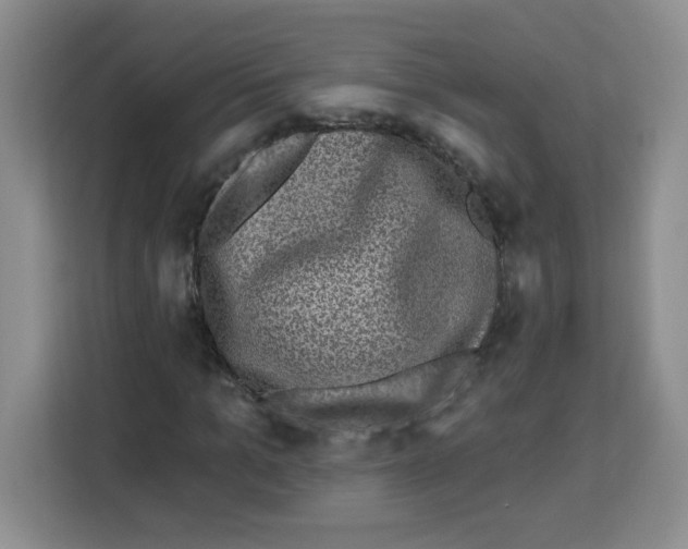 X0000113270965200910221056