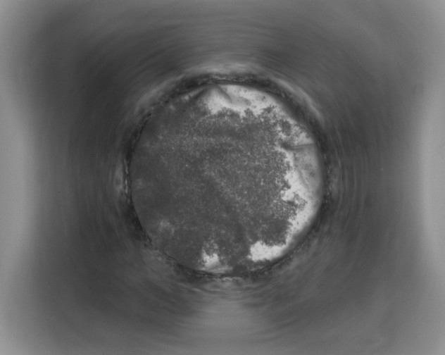 X0000113270966200910221056