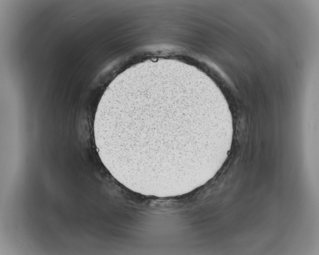 X0000113270967200910221056