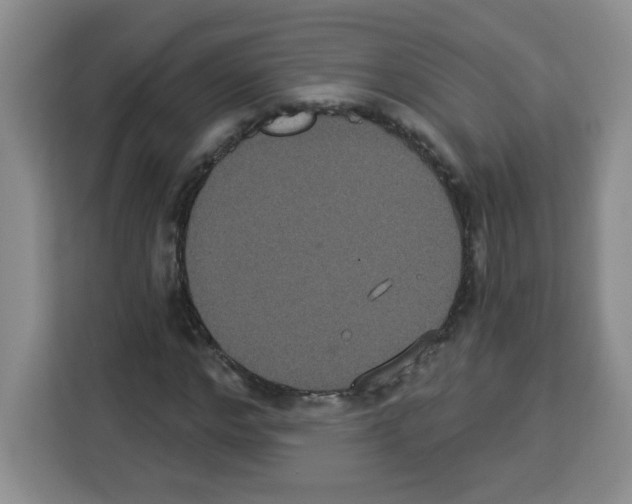 X0000113270968200910221056