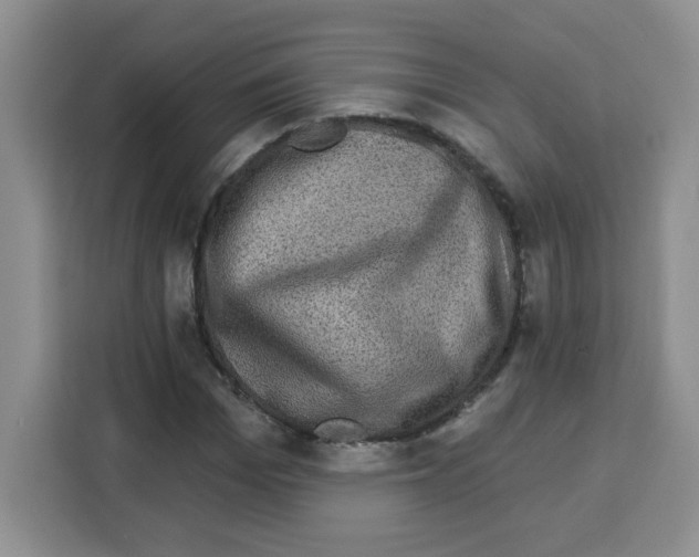 X0000113270969200910221056